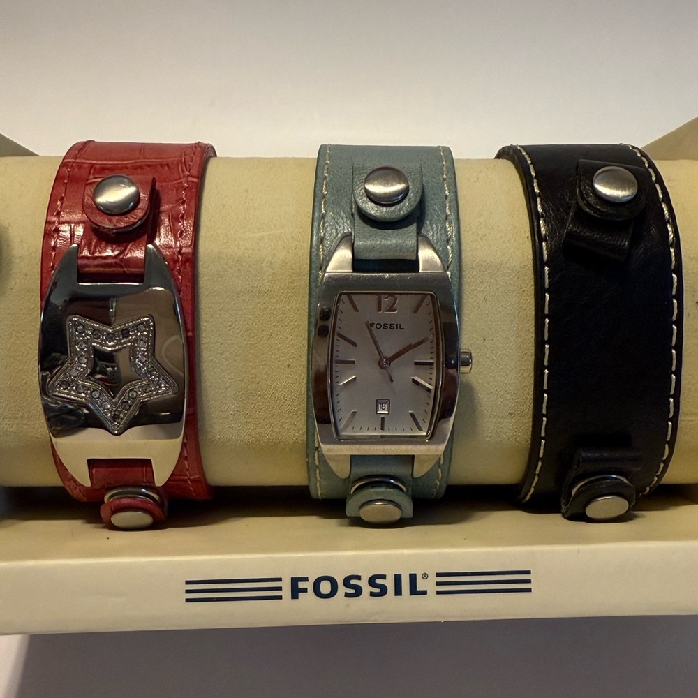 Fossil Watch Set